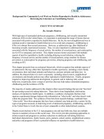 Background for Community-Level Work on Positive Reproductive Health in Adolescence: Reviewing the Literature on Contributing Factors pot