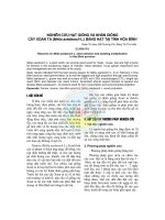 Nghiên cứu hạt giống và nhân giống cây xoan ta (Melia azedarach L.) bằng hạt tại tỉnh Hòa Bình potx