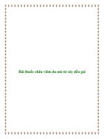 Bài thuốc chữa viêm da mủ từ cây dền gai docx