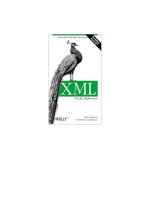 XML Pocket Reference pot