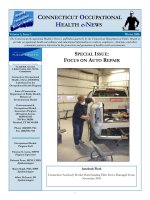 CONNECTICUT OCCUPATIONAL HEALTH e-NEWS - SPECIAL ISSUE: FOCUS ON AUTO REPAIR ppt