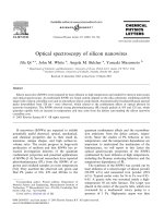 Optical spectroscopy of silicon nanowires
