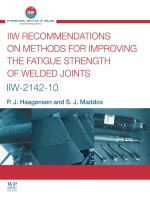 IIW RECOMMENDATIONS ON METHODS FOR IMPROVING THE FATIGUE STRENGTH OF WELDED JOINTS pot