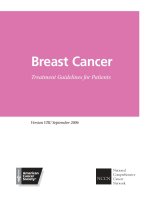 BREAST CANCER - TREATMENT GUIDELINES FOR PATIENTS potx