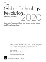 The Global Technology Revolution 2020 doc