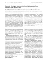 Báo cáo Y học: Molecular cloning of columbamine O-methyltransferase from cultured Coptis japonica cells pot