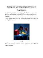 Hướng dẫn tạo tông vàng đen trắng với Lightroom docx