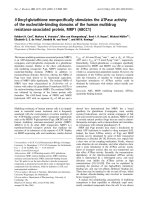 Báo cáo Y học: S-Decyl-glutathione nonspeciﬁcally stimulates the ATPase activity of the nucleotide-binding domains of the human multidrug resistance-associated protein, MRP1 (ABCC1) ppt