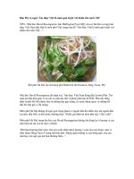 Báo Mỹ ca ngợi ‘Ẩm thực Việt là món quà tuyệt vời dành cho nước Mỹ’ ppt