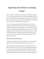 Ngân hàng nhỏ đã thoát cơn khủng hoảng? docx