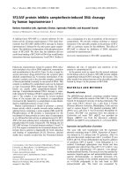 Báo cáo Y học: SF2/ASF protein inhibits camptothecin-induced DNA cleavage by human topoisomerase I potx