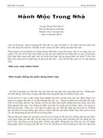 Hành Mộc Trong Nhà ppt