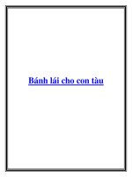 Bánh lái cho con tàu docx