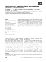 Báo cáo khoa học: Identiﬁcation and characterization of multiple species of tenascin-X in human serum doc