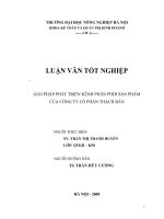 giải pháp phát triển kênh phân phối sản phẩm của công ty cổ phần thạch bàn