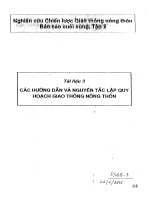 Các hướng dẫn và nguyên tắc lập quy hoạch giao thông nông thôn potx