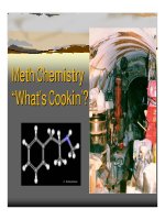 Meth Chemistry “What’s Cookin’?”.Methamphetamine HistoryAmphetamine synthesized 1887 by docx
