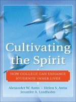 Cultivating the Spirit ppt