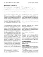 Báo cáo Y học: Biosynthesis of vitamin B2 An essential zinc ion at the catalytic site of GTP cyclohydrolase II ppt