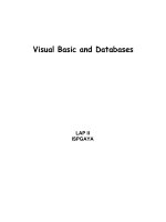 Visual Basic and Databases pdf