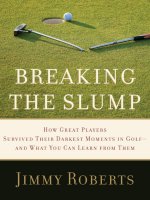 Breaking the Slump: How Great Players Survived Their Darkest Moments in Golf—and What You Can Learn from Them pot