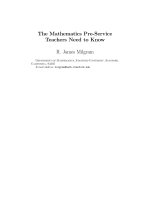The Mathematics Pre-Service Teachers Need to Know docx