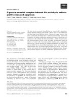 Báo cáo khoa học: G protein-coupled receptor-induced Akt activity in cellular proliferation and apoptosis pptx