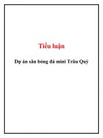 Tiểu luận: Dự án sân bóng đá mini Trâu Quỳ pptx
