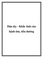 Dâu tây - Khắc tinh của bệnh tim, tiểu đường pdf