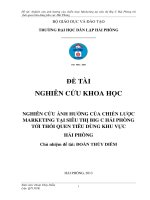 Nghiên cứu ảnh hưởng của chiến lược Marketing tại Siêu thị Big C Hải Phòng tới thói quen tiêu dùng khu vực Hải Phòng