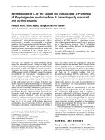 Báo cáo Y học: Reconstitution of Fo of the sodium ion translocating ATP synthase of Propionigenium modestum from its heterologously expressed and puriﬁed subunits pdf