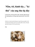 Nấm, tỏi, hành tây... kẻ thù của ung thư dạ dày pot