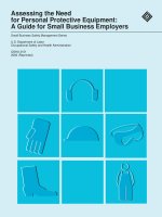Assessing the Need for Personal Protective Equipment: A Guide for Small Business Employers doc