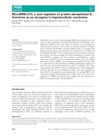 Báo cáo khoa học: MicroRNA-373, a new regulator of protein phosphatase 6, functions as an oncogene in hepatocellular carcinoma pdf