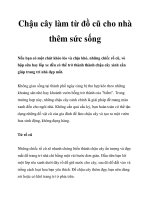 Chậu cây làm từ đồ cũ cho nhà thêm sức sống potx