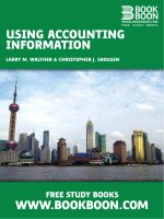 Using Accounting Information doc
