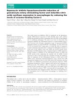 Báo cáo khoa học: Rapamycin inhibits lipopolysaccharide induction of granulocyte-colony stimulating factor and inducible nitric oxide synthase expression in macrophages by reducing the levels of octamer-binding factor-2 doc