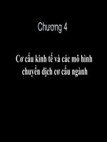 Cơ cấu kinh tế và các mô hình chuyển dịch cơ cấu ngành docx