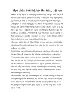 Mẹo phân biệt thịt bò, thịt trâu, thịt lợn pdf