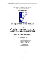 TIỂU LUẬN: MÔ PHỎNG HÀNG ĐỢI TRONG NS2 ĐO HIỆU NĂNG HÀNG ĐỢI M/M/1/K pot