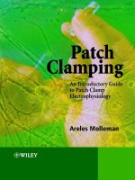 Patch Clamping An Introductory Guide to Patch Clamp Electrophysiology pot