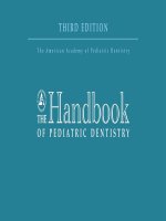 The Handbook of Pediatric Dentistry pptx