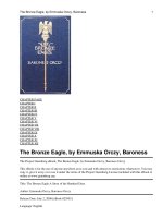 The Bronze Eagle A Story of the Hundred Days ppt