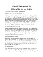 Các mẫu dịch vụ thông tin Phần 1: Mẫu liên hợp dữ liệu ppt