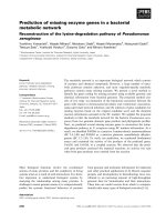 Báo cáo khoa học: Prediction of missing enzyme genes in a bacterial metabolic network Reconstruction of the lysine-degradation pathway ofPseudomonas aeruginosa doc