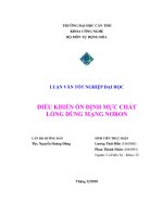 điều khiển ổn định mực chất lỏng dùng mạng nơron