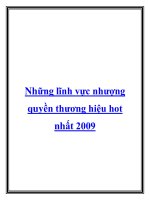 Những lĩnh vực nhượng quyền thương hiệu hot nhất 2009 ppt
