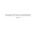 Prevention of Mother-to-Child Transmission of HIV: Expert Panel Report and Recommendations to the U.S. Congress and U.S. Global AIDS Coordinator pot
