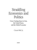 Straddling Economics and Politics - Cross-Cutting Issues in Asia, the United States, and the Global Economy.pdf pot