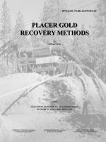 PLACER GOLD RECOVERY METHODS docx